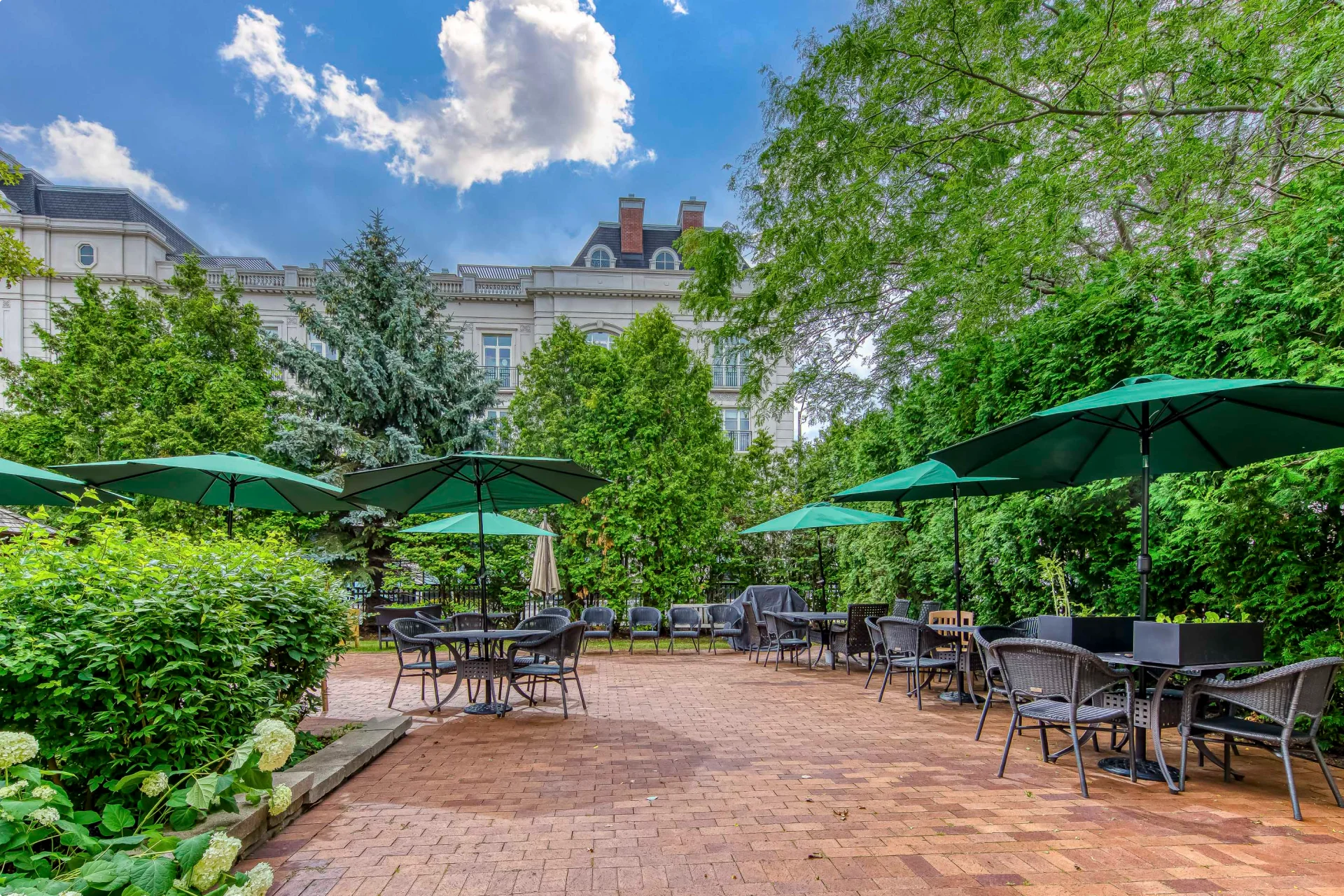 Fresh dessert